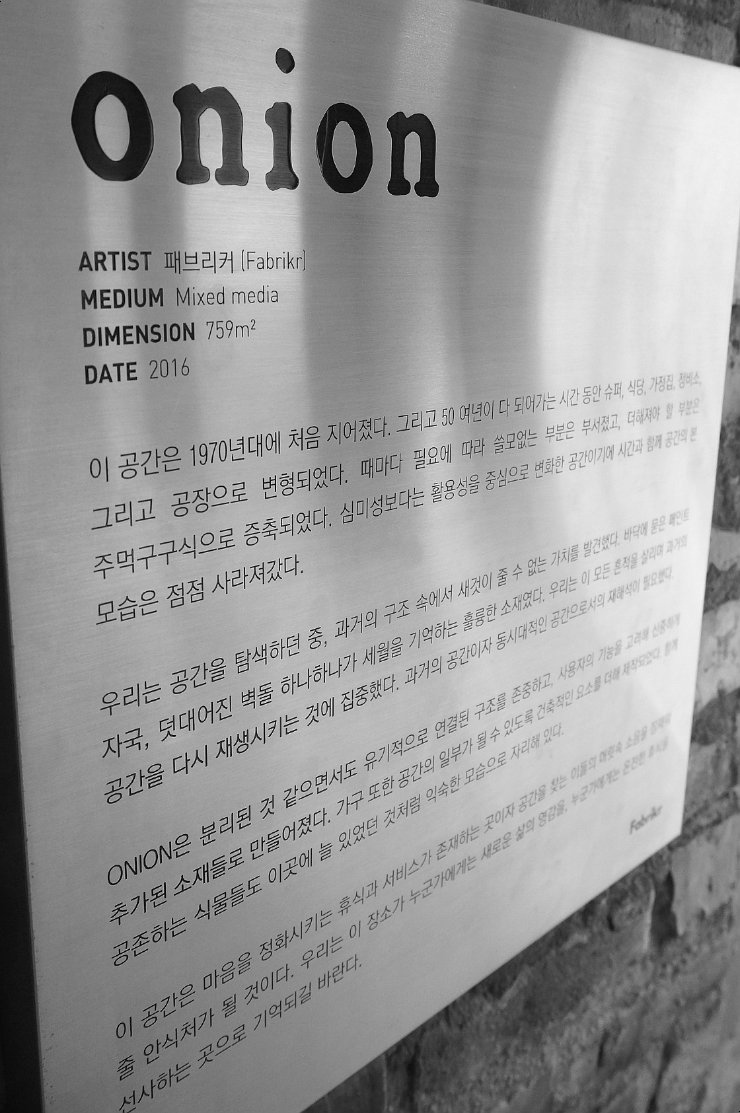 어니언(ONION) 이미지