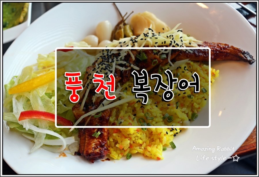 풍천복장어 이미지