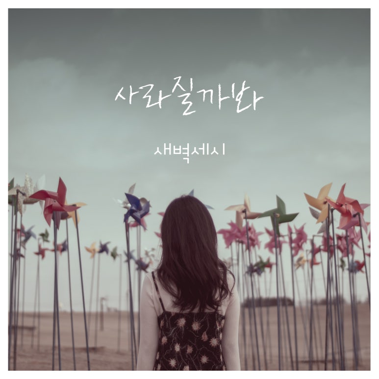 주식회사 새벽 이미지