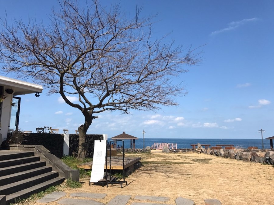지플레이스 이미지