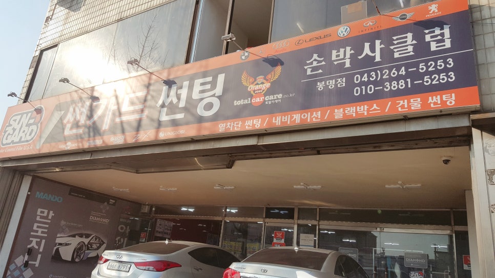 손박사클럽 이미지