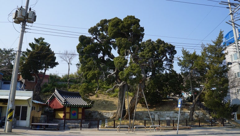 죽변장식 이미지
