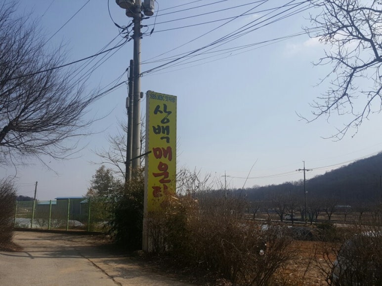 상백매운탕 이미지