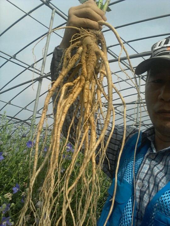 창수네 이미지