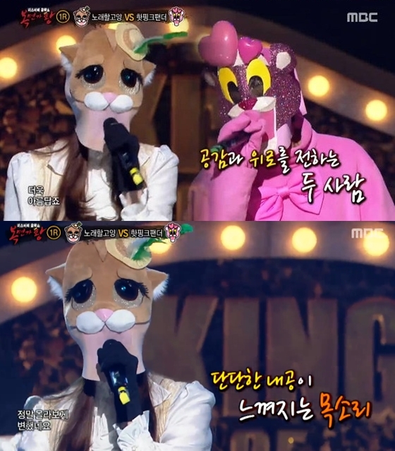 고양제비 이미지