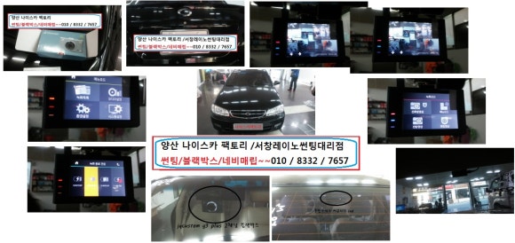 나이스카 이미지