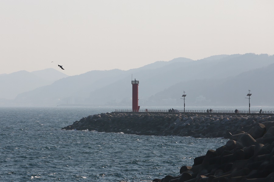 강구항횟집 이미지