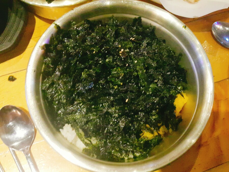 오비(OB)캠프 이미지