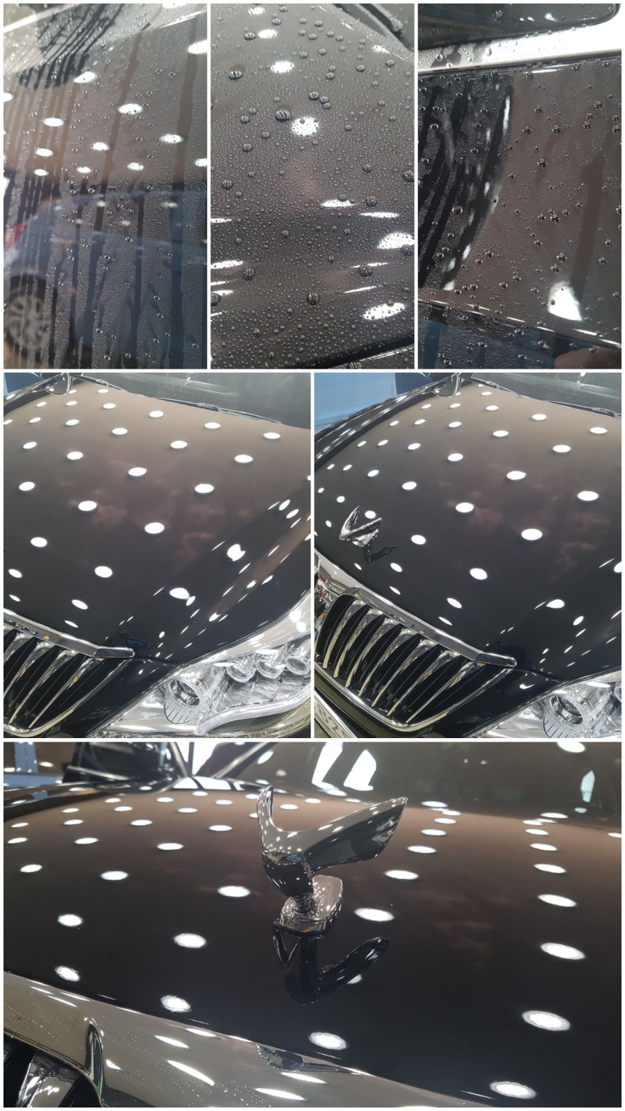 3M카케어센타 이미지