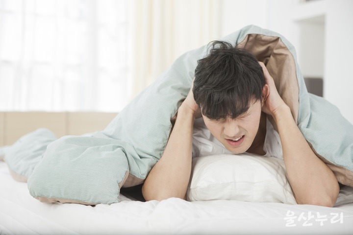 대성익스프레스 이미지