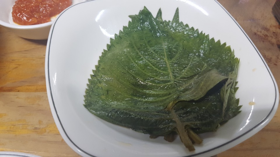 오리탕세상 이미지