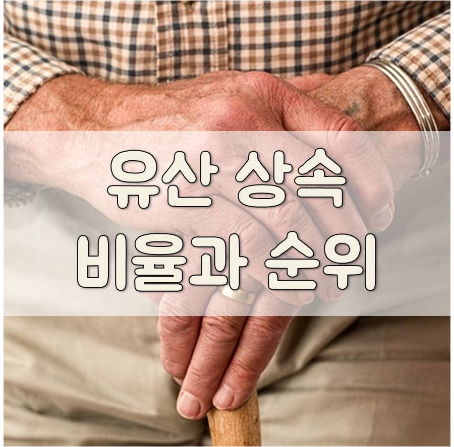 변호사김은성법률사무소 이미지