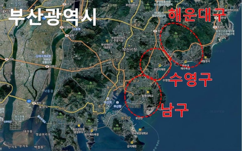 언제나광안 이미지