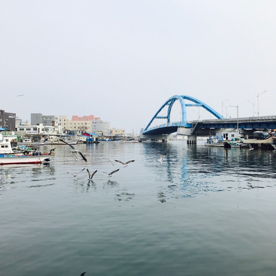 속초역 이미지