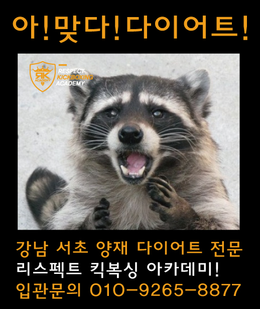 리스펙트킥복싱아카데미 이미지