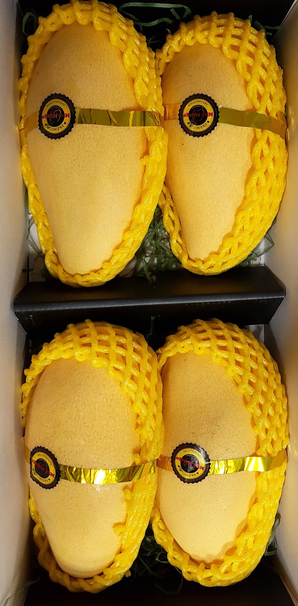 대전진 이미지