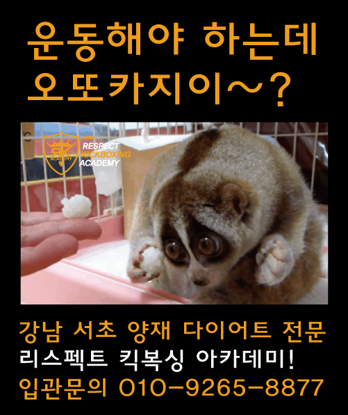 리스펙트킥복싱아카데미 이미지
