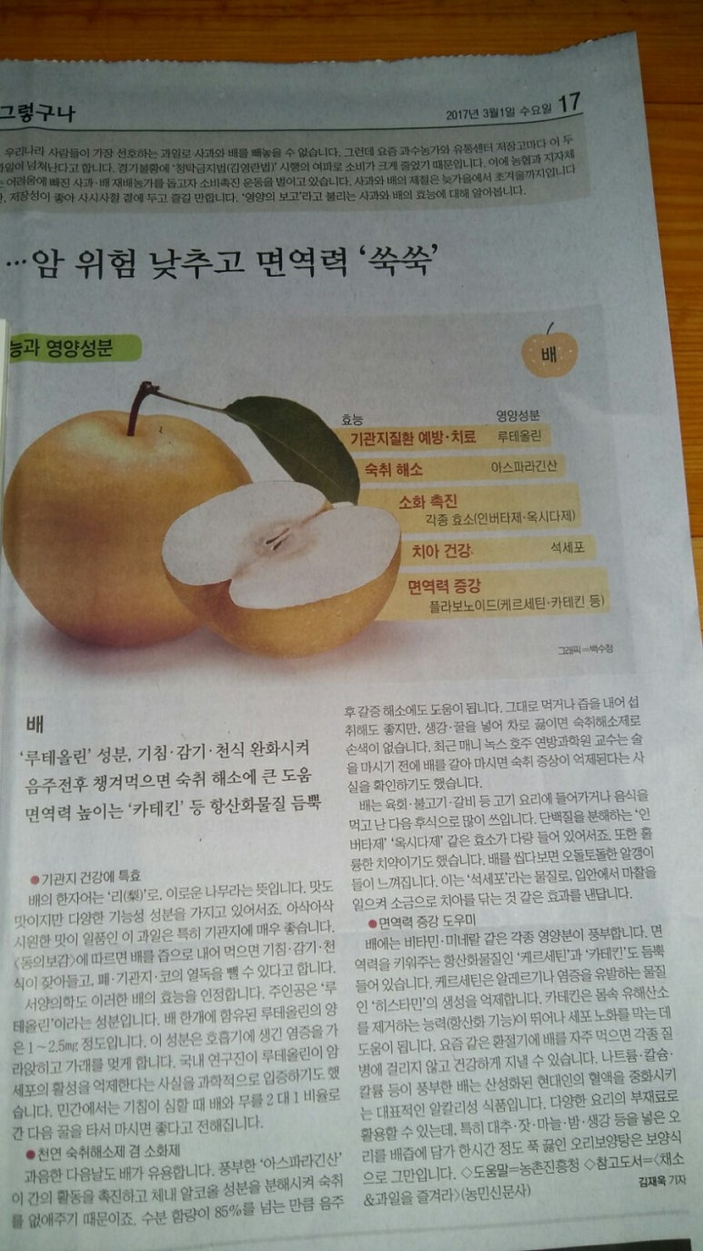 논뜨락 산뜨락 이미지