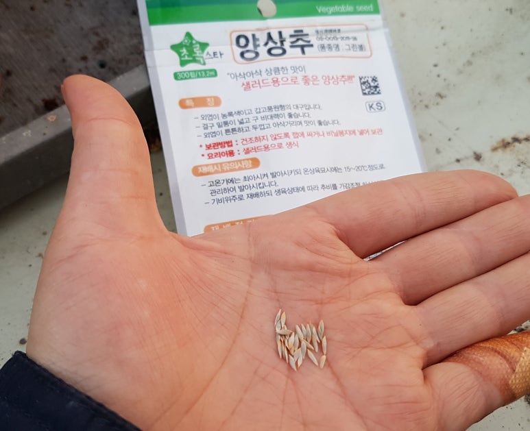 오크린 이미지
