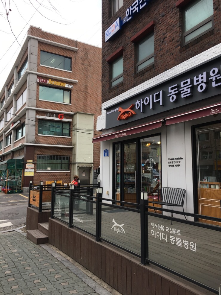 눈에꽃피다 이미지