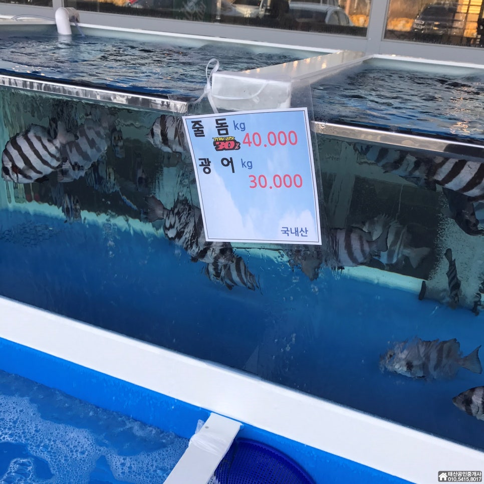 골든루트식당 이미지