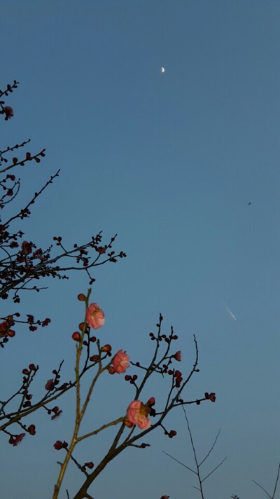축령산휴림 이미지