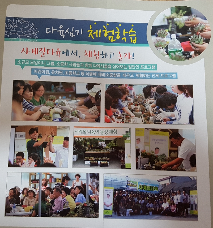 사계절다육농장 이미지