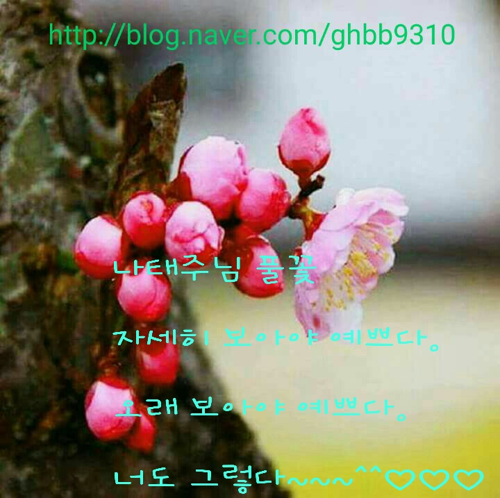 건강지도 이미지