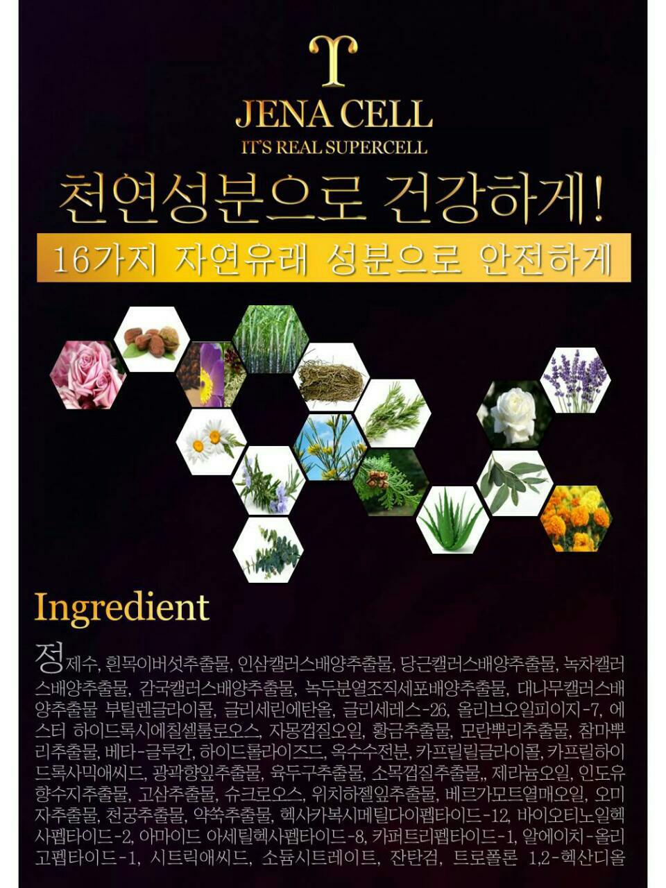 제나셀 이미지