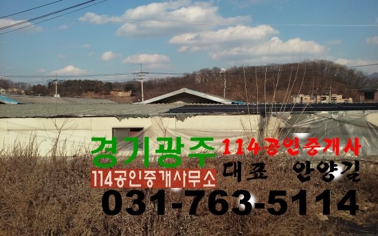 초월식품 이미지