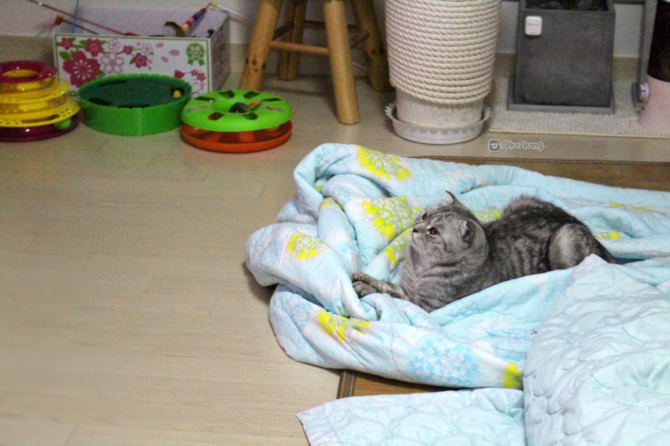(주)레브가 이미지