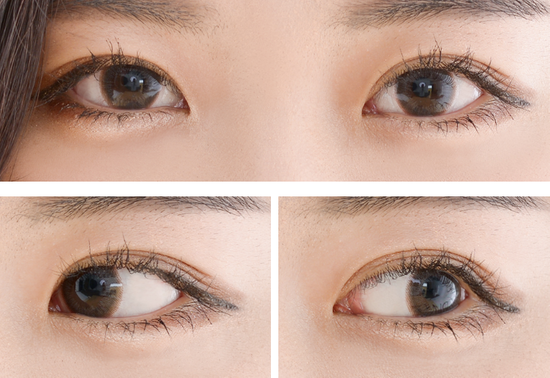 온양칼라 이미지