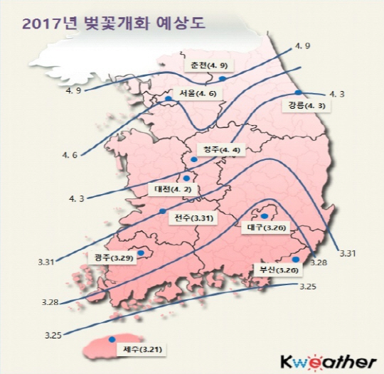 넷피플 이미지