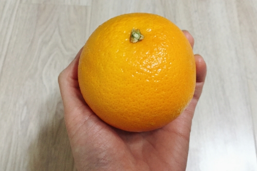 오렌지 커피 이미지