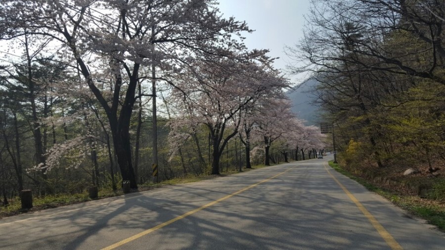 백투에덴힐링센터 이미지