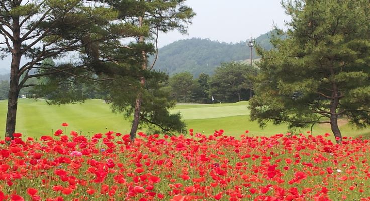 세종에머슨(주) 밸리 이미지