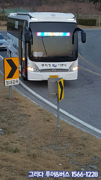 그리다투어&버스 이미지