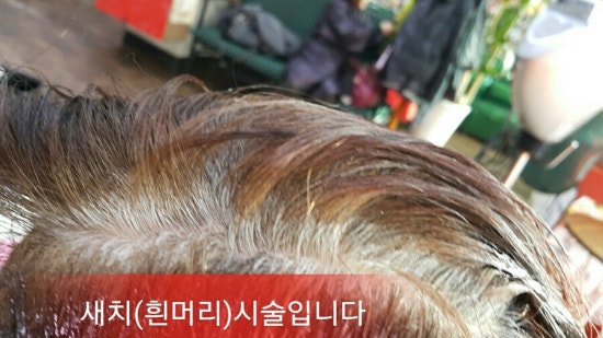 에쉬헤어샾 이미지