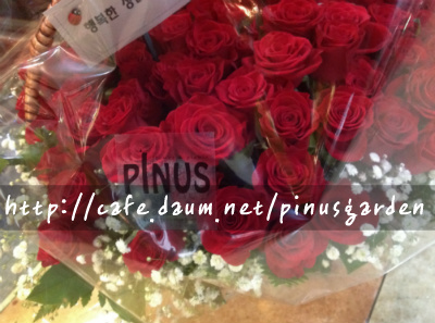 바구니꽃집 이미지