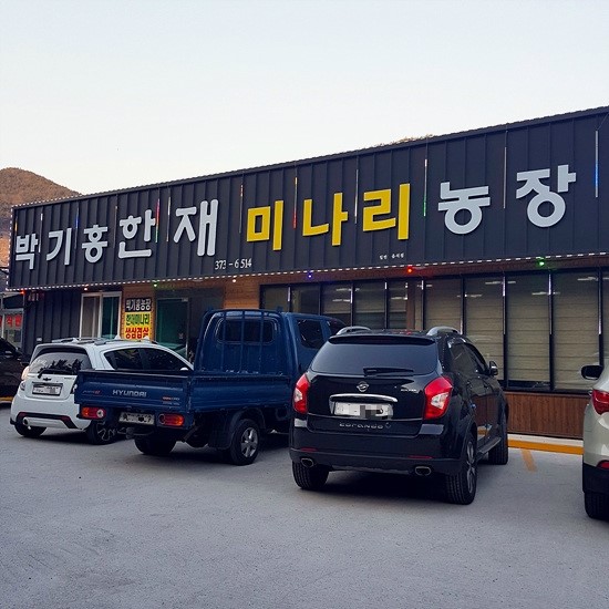 박기홍한재미나리식당 이미지