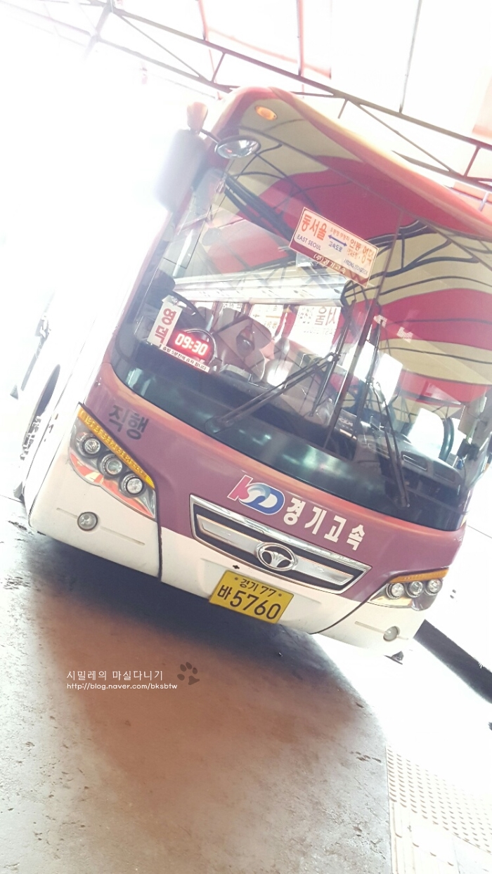 시밀레바다 이미지