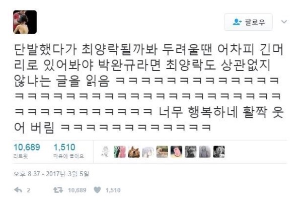 스튜디오 볼케이노 이미지