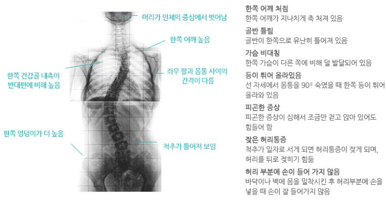 신통방통의원 이미지