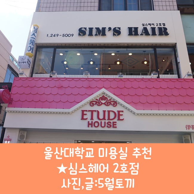 심스헤어 이미지