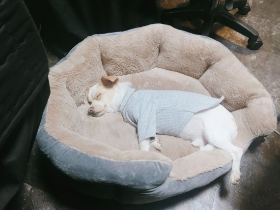 띵똥 이미지
