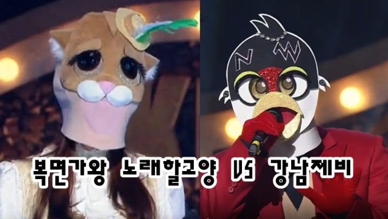 고양제비 이미지