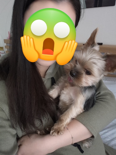 심스헤어 이미지