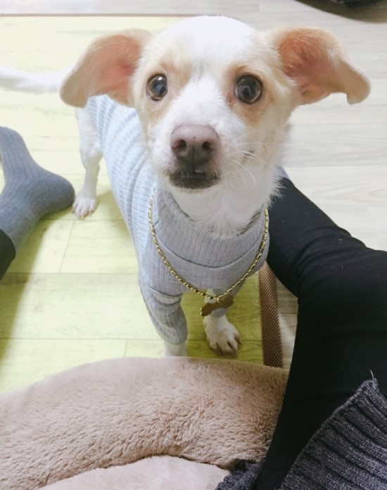 띵똥 이미지