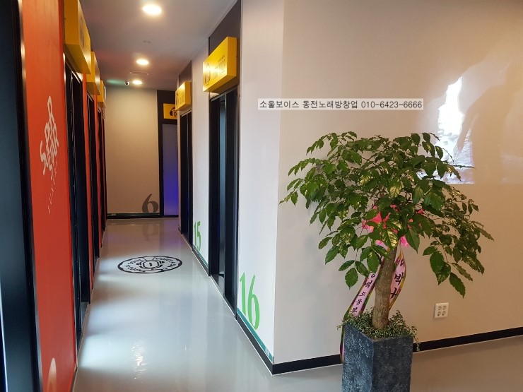 소울보이스동전노래연습장 이미지