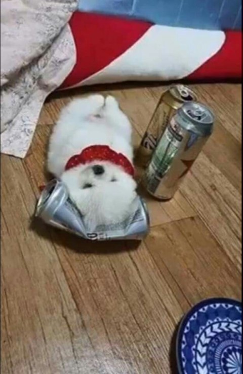 켄홈 이미지